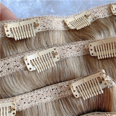 Newest Extension Method Russian Human Hair Virgin Cuticle Aligned Double Drawn 12A Clip in 